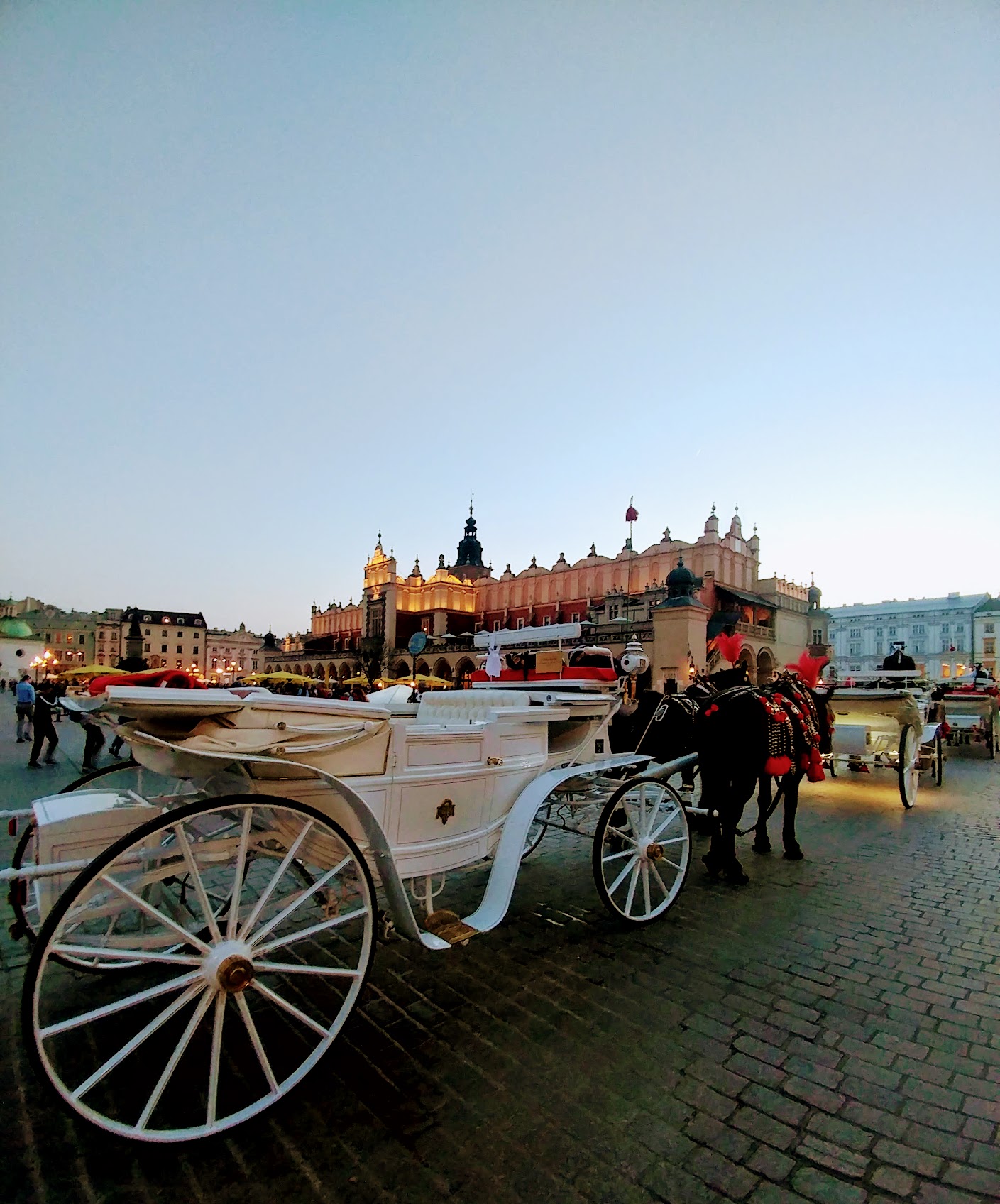 Poolse inval – Krakow